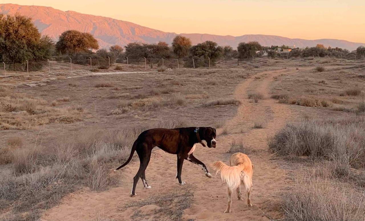 Rak Glamping Hotel Ras al-Khaimah Bagian luar foto