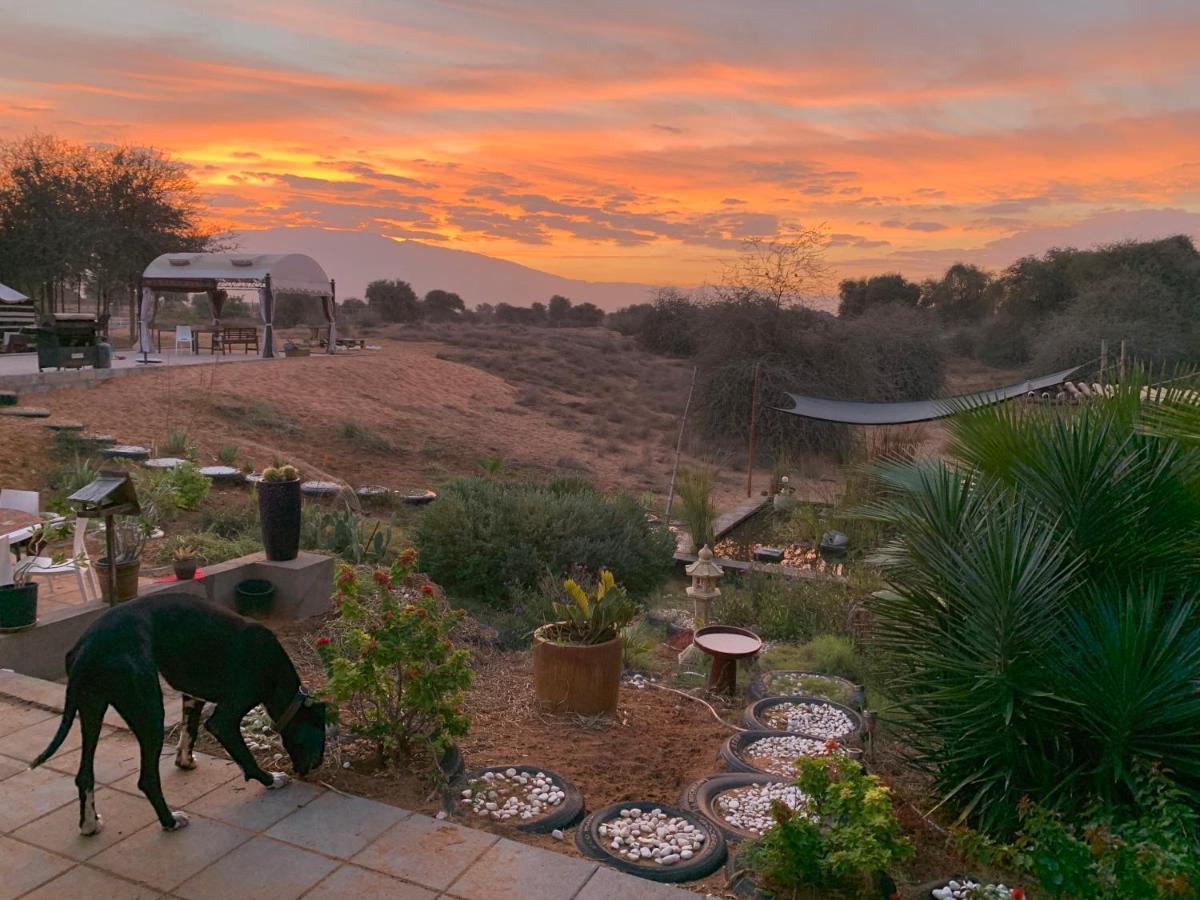 Rak Glamping Hotel Ras al-Khaimah Bagian luar foto