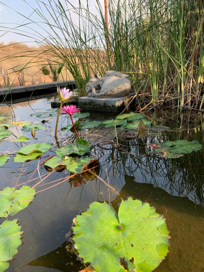 Rak Glamping Hotel Ras al-Khaimah Bagian luar foto