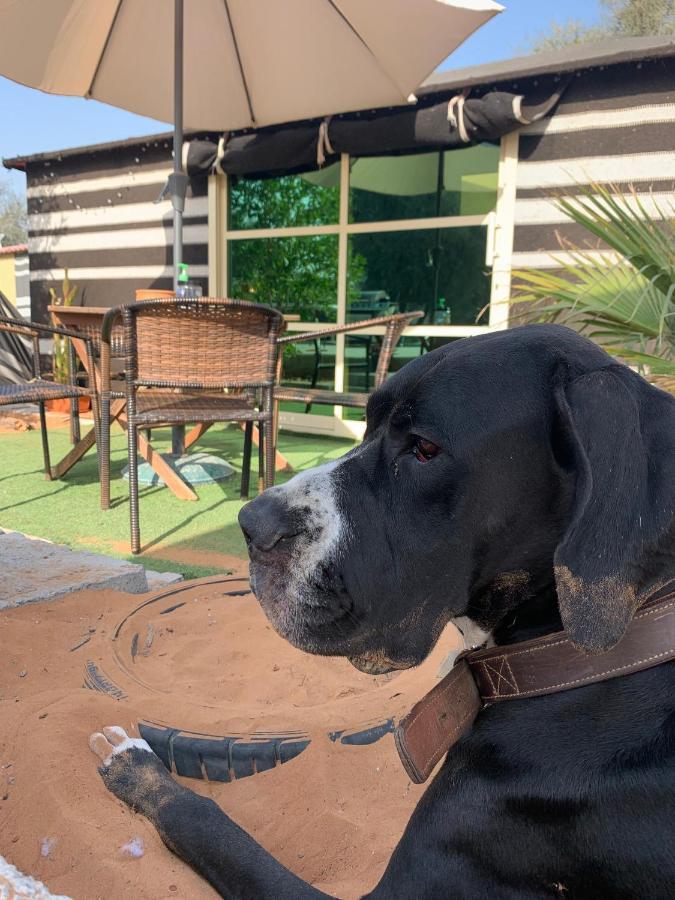 Rak Glamping Hotel Ras al-Khaimah Bagian luar foto