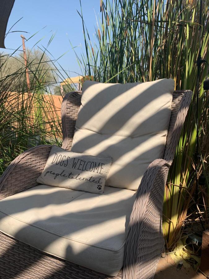 Rak Glamping Hotel Ras al-Khaimah Bagian luar foto