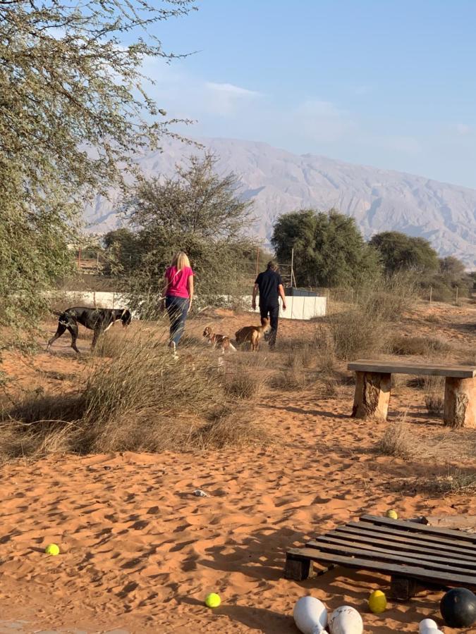 Rak Glamping Hotel Ras al-Khaimah Bagian luar foto